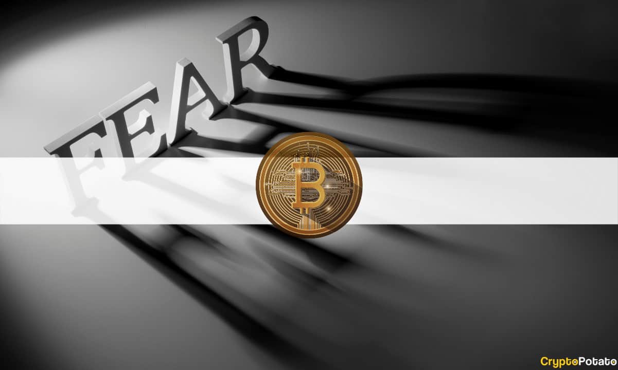 Extreme Fear Among Bitcoin Investors for the First Time in Two Months