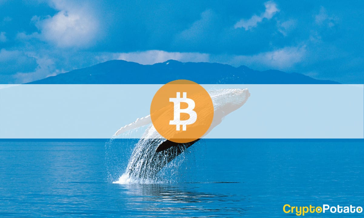 Third-Largest Whale Buys $170M Worth of BTC in Two Weeks