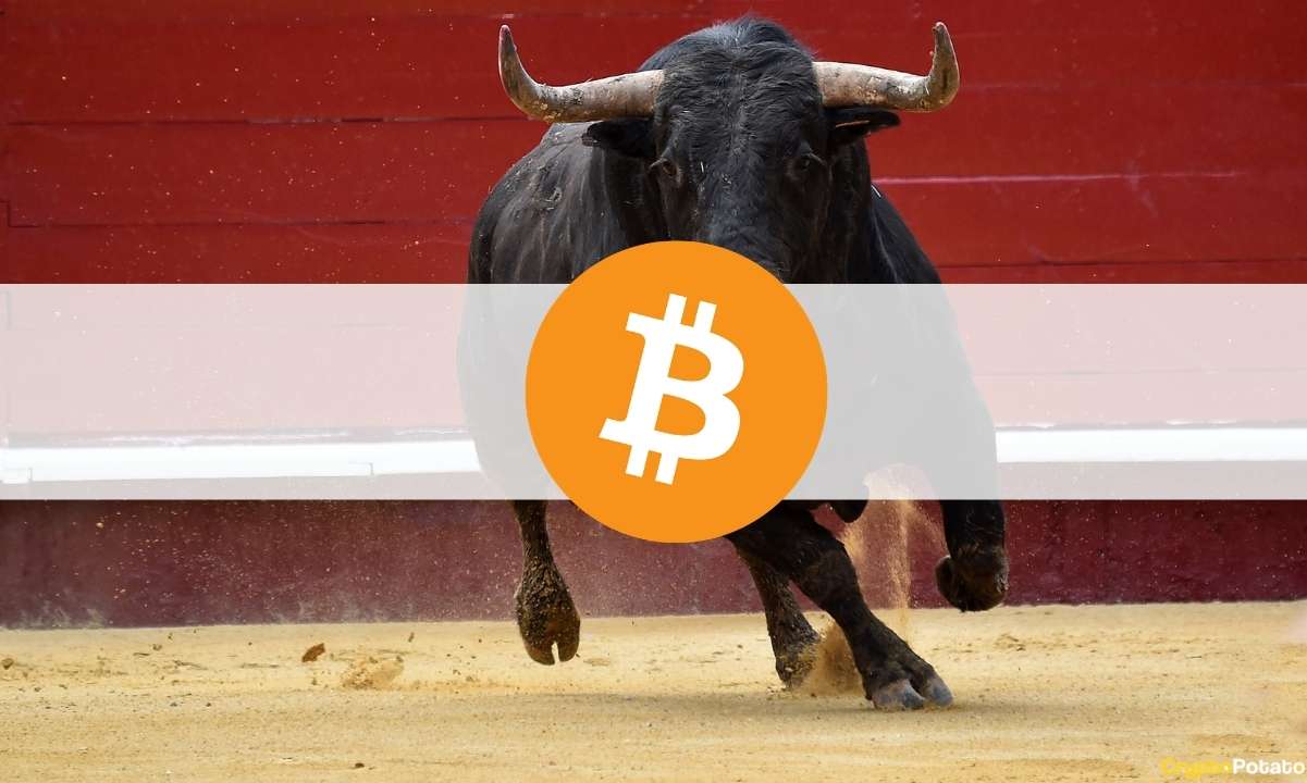 3 Possible Reasons Behind Bitcoin's Surge to $56k