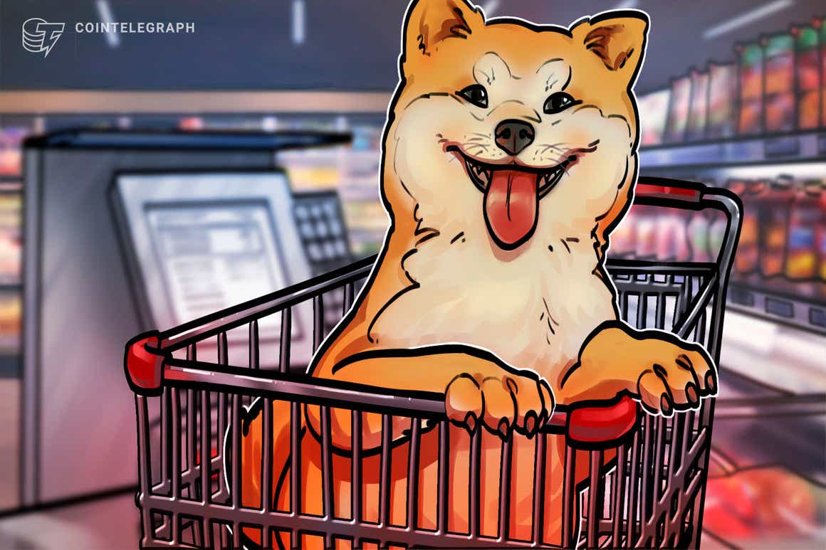 Shiba Inu surges over 45% in two days to reach an all-time high