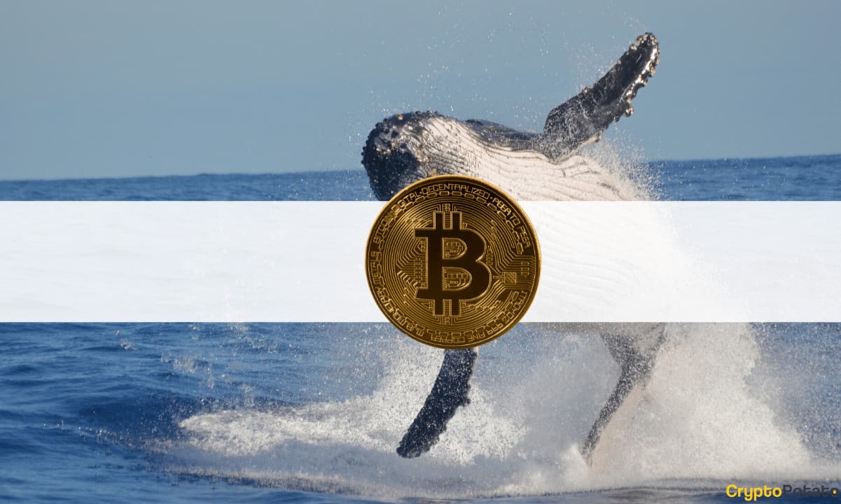 Third-Largest Bitcoin Whale Bought $37 Million in BTC