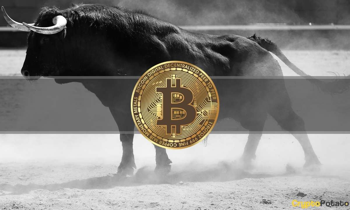 Bitcoin Explodes 18% in a Week, Total Market Cap Reclaims $2T: This Week's Crypto Recap