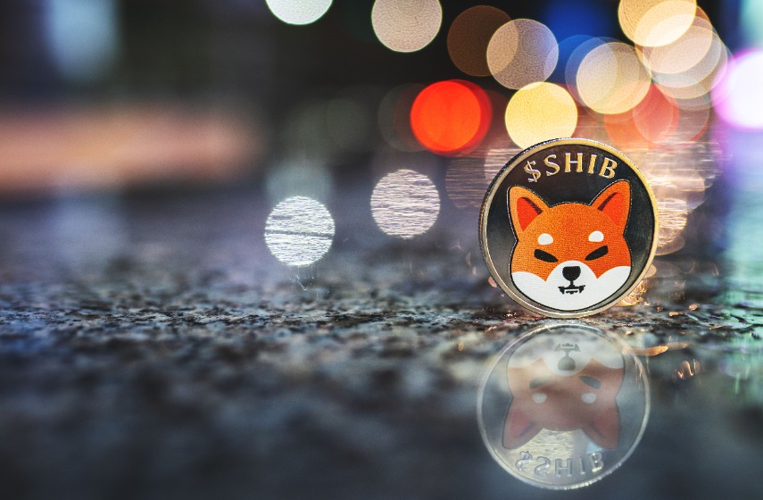 Is Shiba Inu (SHIB/USD) bull run over? Here is the technical outlook