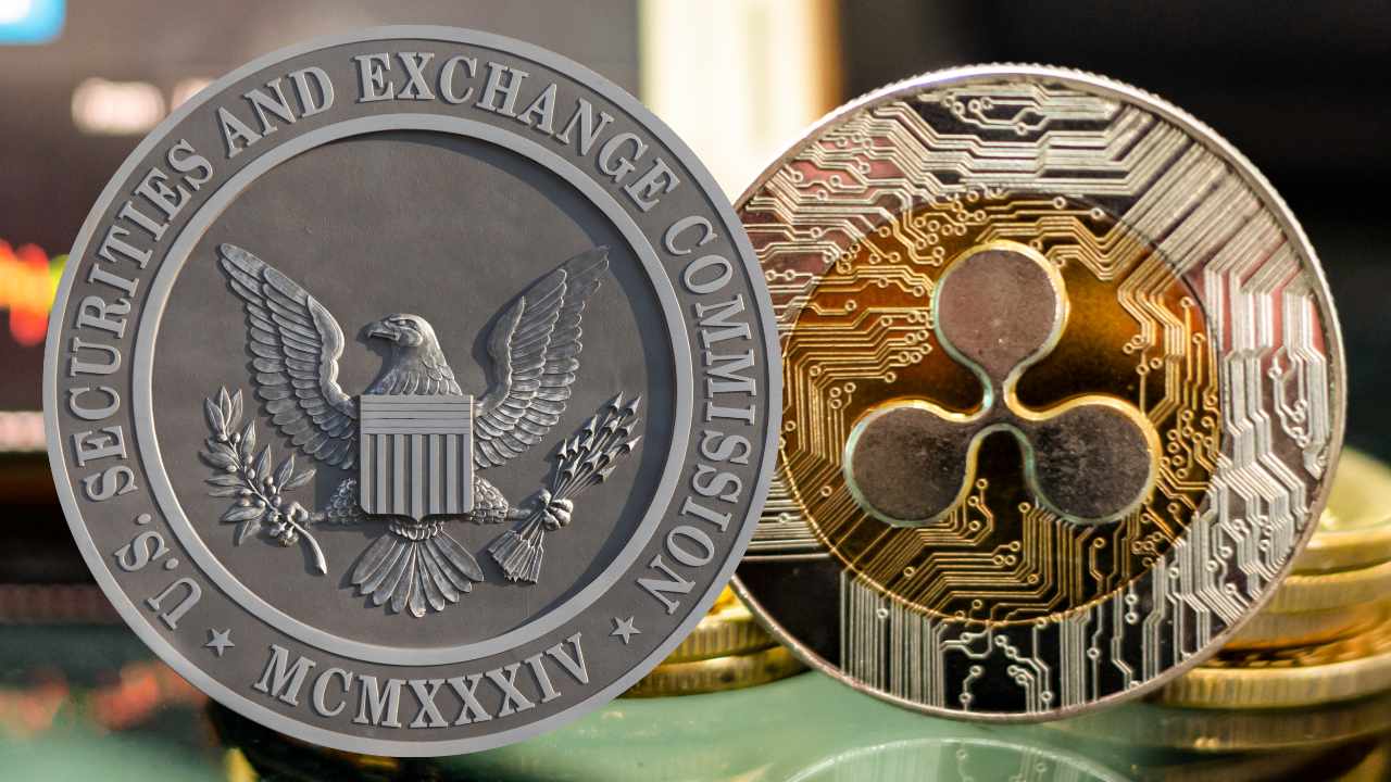 Support for Ripple Grows in SEC Lawsuit Over XRP — CEO Says 'It's Unprecedented'