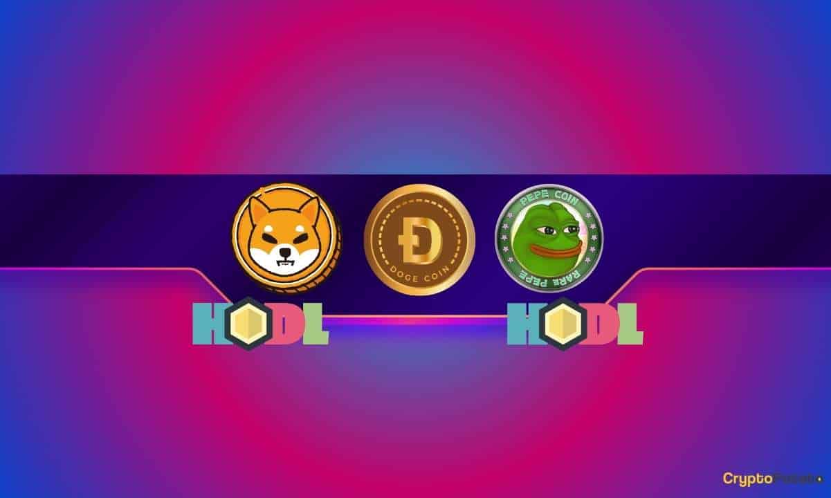Popular Gaming Platform Holds Numerous Meme Coins, Including Shiba Inu (SHIB) and Dogecoin (DOGE)